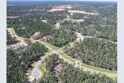 25349 High Meadow West Drive, Montgomery, TX 77316 - Photo 30