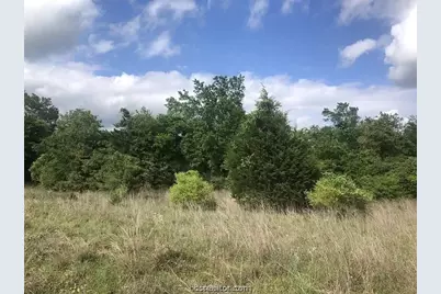 4430 Hampshire Lane, Franklin, TX 77856 - Photo 6