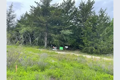 4430 Hampshire Lane, Franklin, TX 77856 - Photo 2