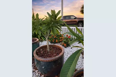 431 Hana Drive, Tiki Island, TX 77554 - Photo 16