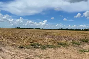 Tbd Lot 1 County Road 414, El Campo, TX 77437 - Photo 10