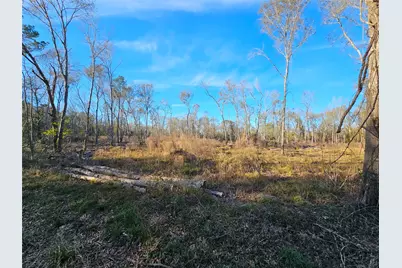 Lot 2 Sherwood Drive, Shepherd, TX 77371 - Photo 12