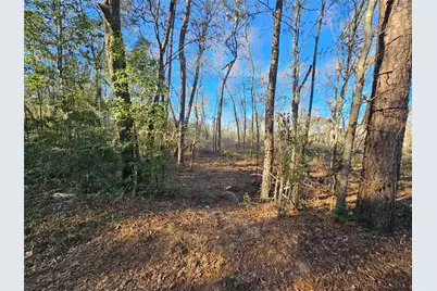 Lot 2 Sherwood Drive, Shepherd, TX 77371 - Photo 16