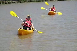 3522 Pecan Point Dr, Sugar Land, TX 77478 - Photo 24