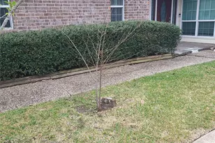 1006 Walnut Bend Ln, Houston, TX 77042 - Photo 2