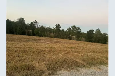 0 Western Road, Livingston, TX 77351 - Photo 22