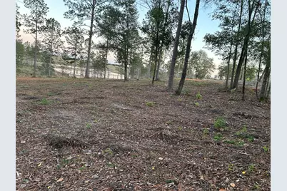 0 Western Road, Livingston, TX 77351 - Photo 28