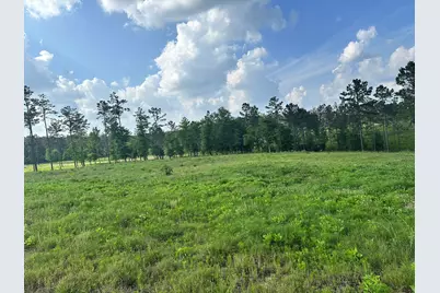 0 Western Road, Livingston, TX 77351 - Photo 8