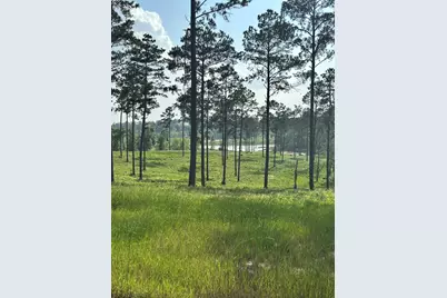 0 Western Road, Livingston, TX 77351 - Photo 18