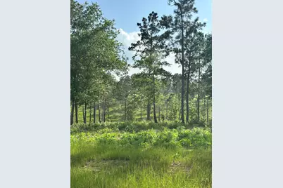 0 Western Road, Livingston, TX 77351 - Photo 16