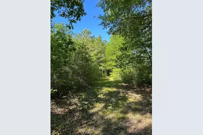 0 Hardy Bottom Road, Huntsville, TX 77340 - Photo 14