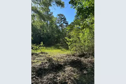 0 Hardy Bottom Road, Huntsville, TX 77340 - Photo 16