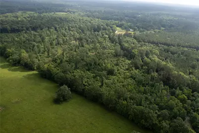 0 Hardy Bottom Road, Huntsville, TX 77340 - Photo 18