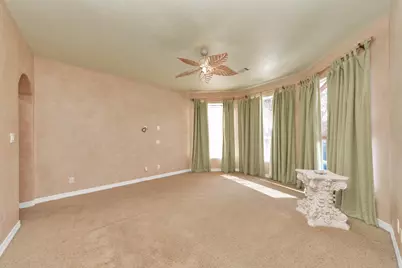 155 Palm Boulevard, Missouri City, TX 77459 - Photo 36