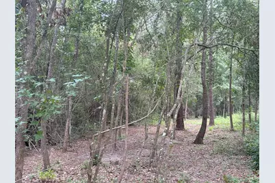 001 N Lake Shore Drive Drive N, Conroe, TX 77303 - Photo 8