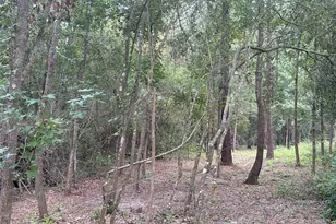 001 N Lake Shore Dr Dr N, Conroe, TX 77303 - Photo 8