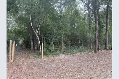 001 N Lake Shore Drive Drive N, Conroe, TX 77303 - Photo 6