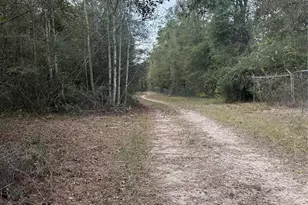 Tbd Firetower, Conroe, TX 77306 - Photo 10