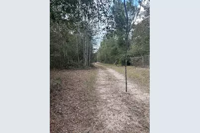 Tbd Firetower, Conroe, TX 77306 - Photo 8