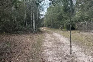 Tbd Firetower, Conroe, TX 77306 - Photo 8