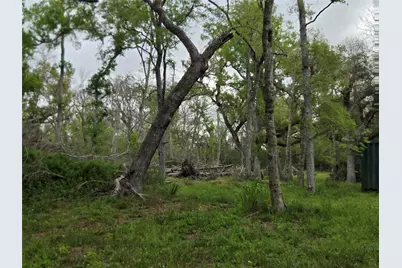 0 Kings Oak Drive, Damon, TX 77430 - Photo 6