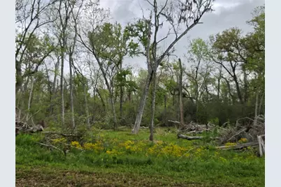 0 Kings Oak Drive, Damon, TX 77430 - Photo 4