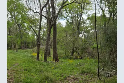 0 Kings Oak Drive, Damon, TX 77430 - Photo 10