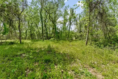 0 Kings Oak Drive, Damon, TX 77430 - Photo 12