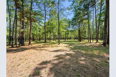 3A-16-3A Grand View, Huntsville, TX 77340 - Photo 10