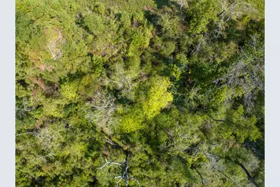 00 Lightfoot Road, Lufkin, TX 75901 - Photo 4