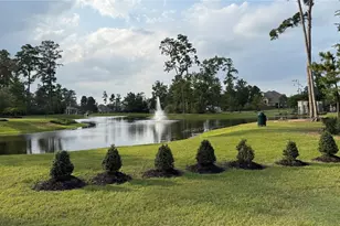 14131 Lake Lodge Dr, Conroe, TX 77384 - Photo 42