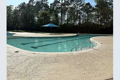 14131 Lake Lodge Drive, Conroe, TX 77384 - Photo 46