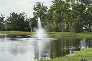 14131 Lake Lodge Dr, Conroe, TX 77384 - Photo 40