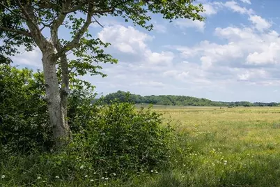 10318 County Road 67, Manvel, TX 77578 - Photo 2