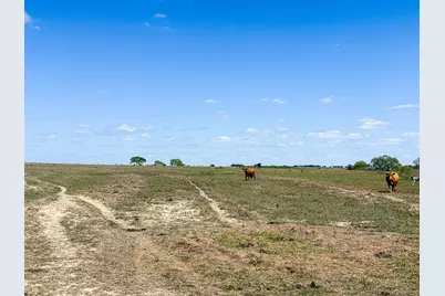 1037 County Road 340, Shiner, TX 77984 - Photo 12