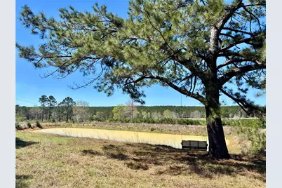 Tbd County Road 3550, Woodville, TX 75979 - Photo 1