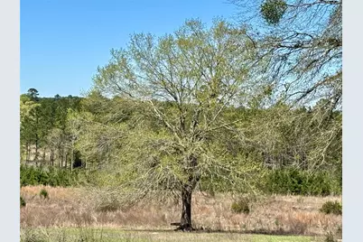 Tbd County Road 3550, Woodville, TX 75979 - Photo 14