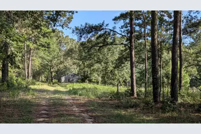 3948 Dogwood Trail, Navasota, TX 77868 - Photo 2