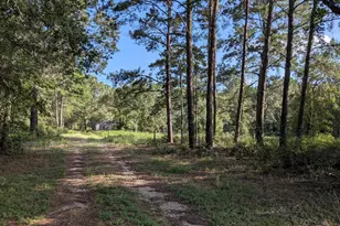 3948 Dogwood Trail, Navasota, TX 77868 - Photo 4
