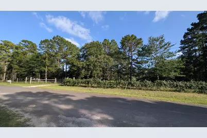 3948 Dogwood Trail, Navasota, TX 77868 - Photo 8