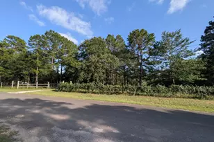 3948 Dogwood Trail, Navasota, TX 77868 - Photo 8