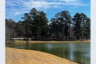 2340 La Salle Woods, Conroe, TX 77304 - Photo 32