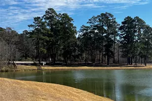 2340 La Salle Woods, Conroe, TX 77304 - Photo 32