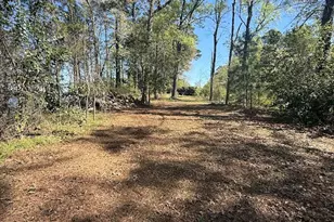 4001 Carters Ferry Rd E, Milam, TX 75959 - Photo 20