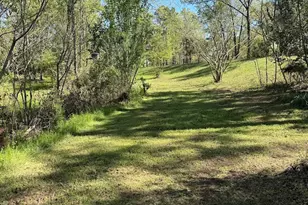 4001 Carters Ferry Rd E, Milam, TX 75959 - Photo 16