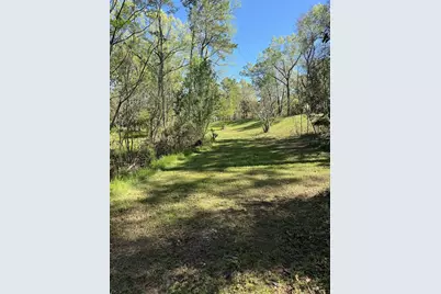 4001 Carters Ferry Road E, Milam, TX 75959 - Photo 16