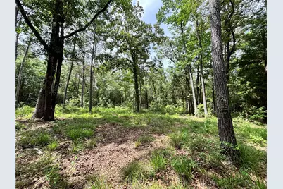000 Peyton Lane, Hillister, TX 77624 - Photo 4