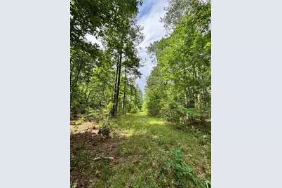 000 Peyton Lane, Hillister, TX 77624 - Photo 22