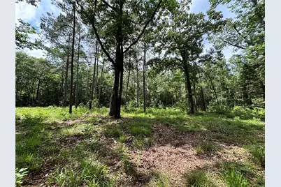 000 Peyton Lane, Hillister, TX 77624 - Photo 50