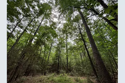 000 Peyton Lane, Hillister, TX 77624 - Photo 28